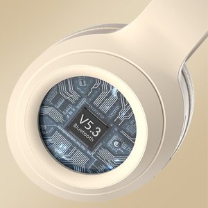 V5.3